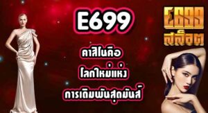 E699 คาสิโนคือ