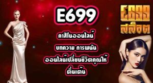 E699 คาสิโนออนไลน์บทความ